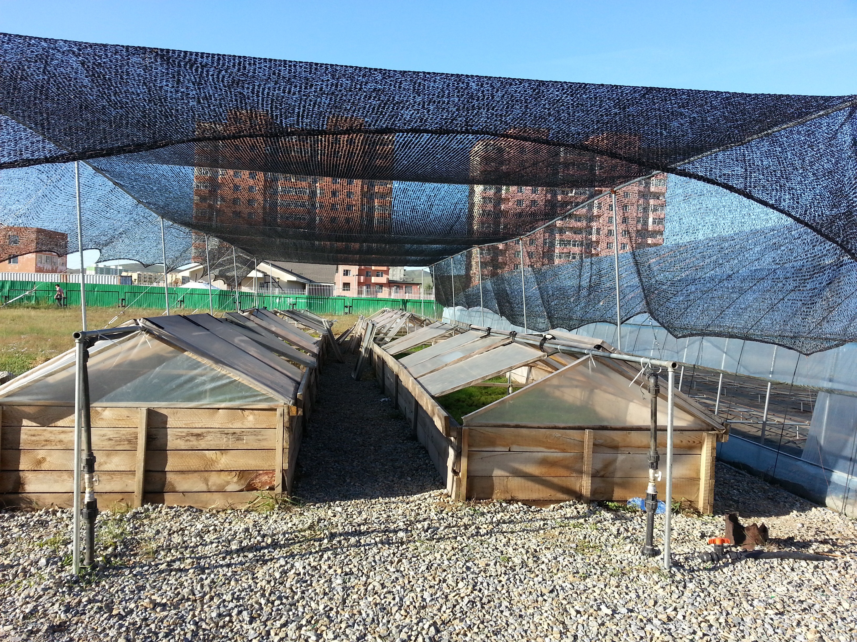 Мод үржүүлгийн газар